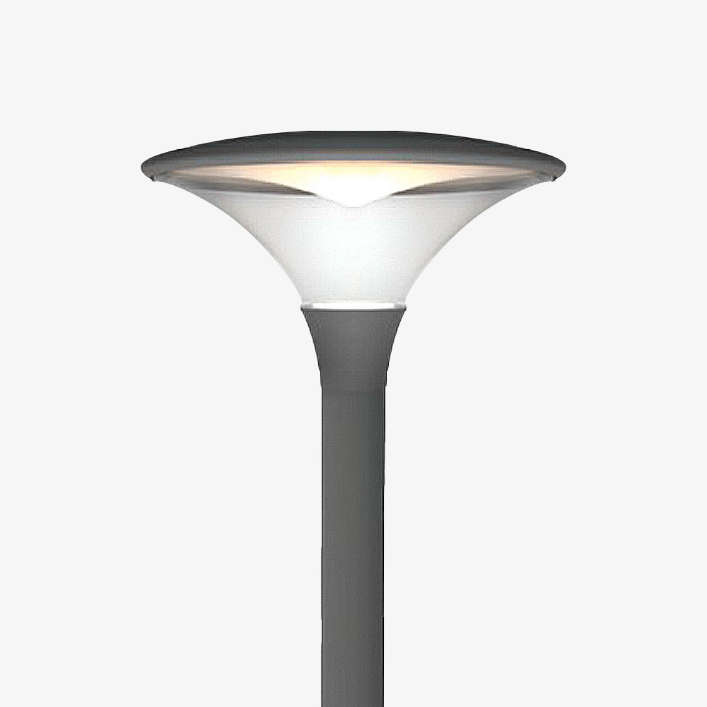 Cono_New